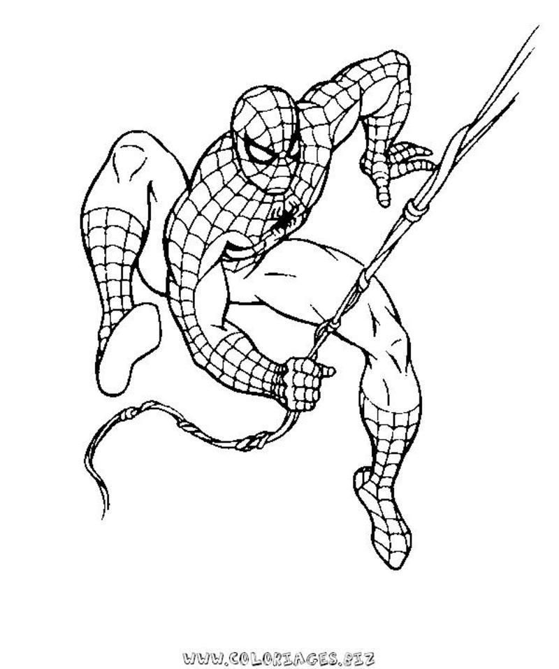 rub coloriage spiderman