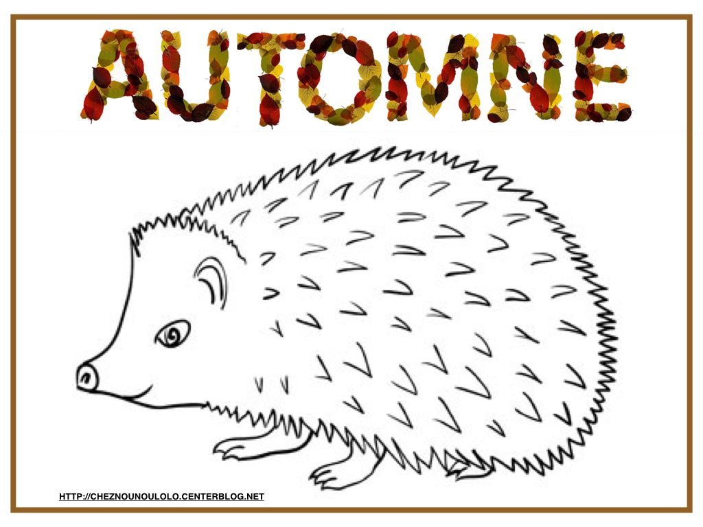 activite automne